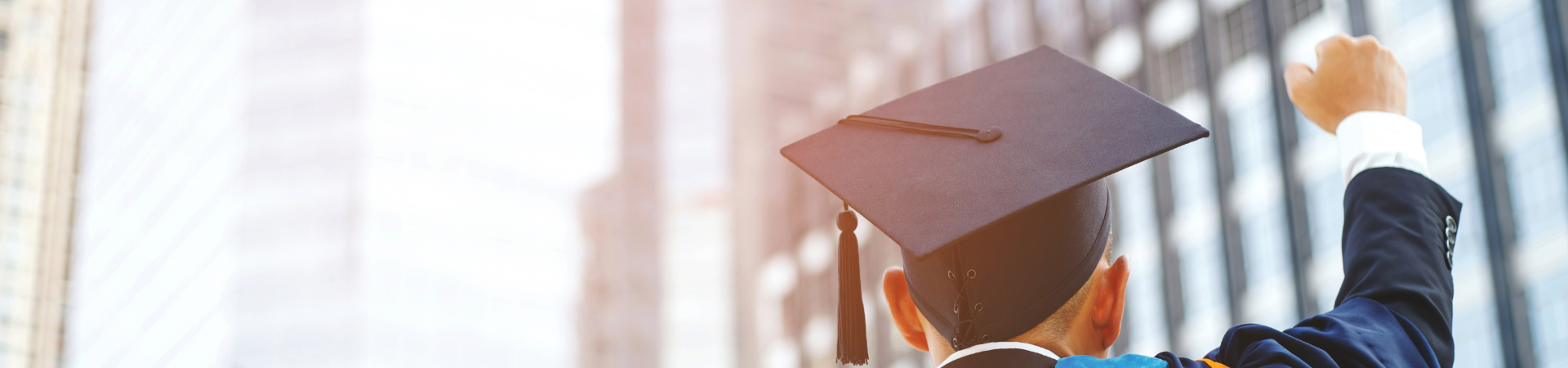 University Diamond  | Pocketimmigration 